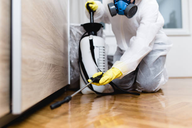 Pest Control Cost in Dalton Gardens, ID