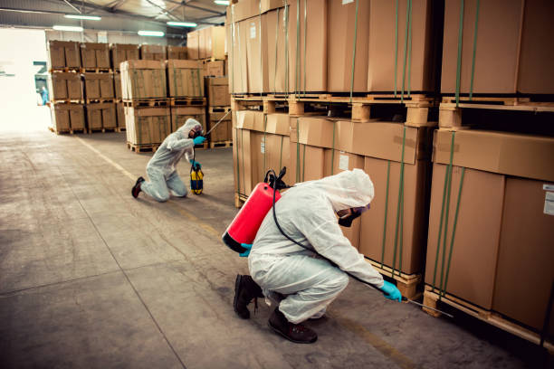 Best Commercial Pest Control Services  in Dalton Gardens, ID