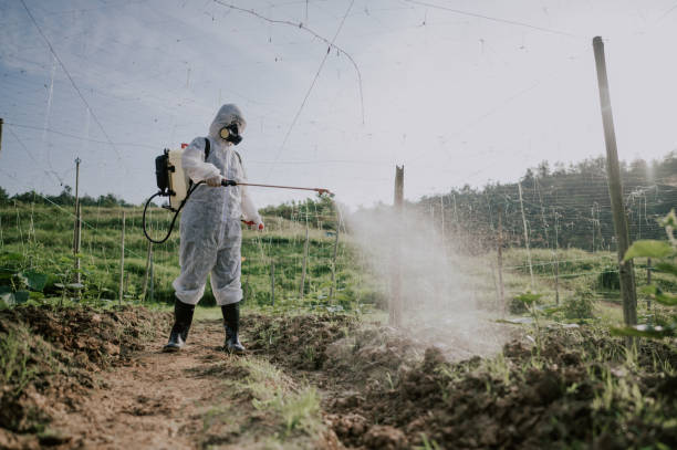 Best Pest Prevention Services  in Dalton Gardens, ID