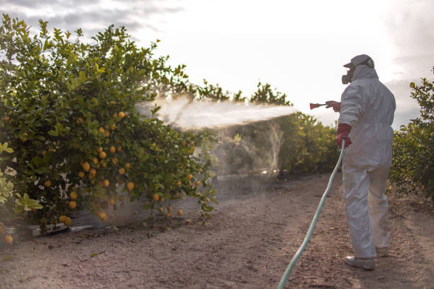 Dalton Gardens, ID Pest Control Company