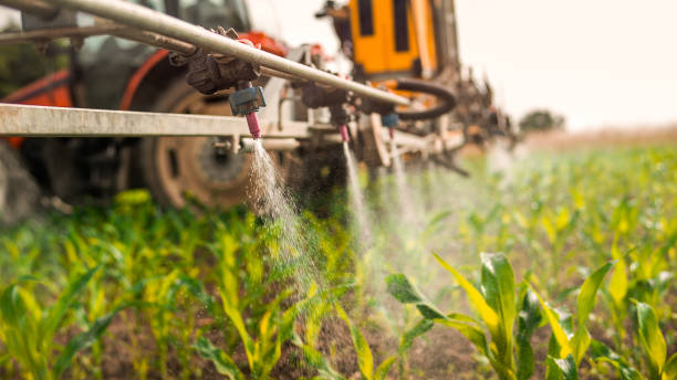 Best Wildlife Control Services  in Dalton Gardens, ID